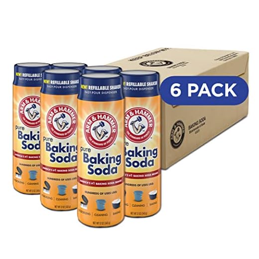 Arm & Hammer Baking Soda Shaker, 12 Oz (Pack of 6)