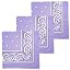 Lavender - 3 Pack