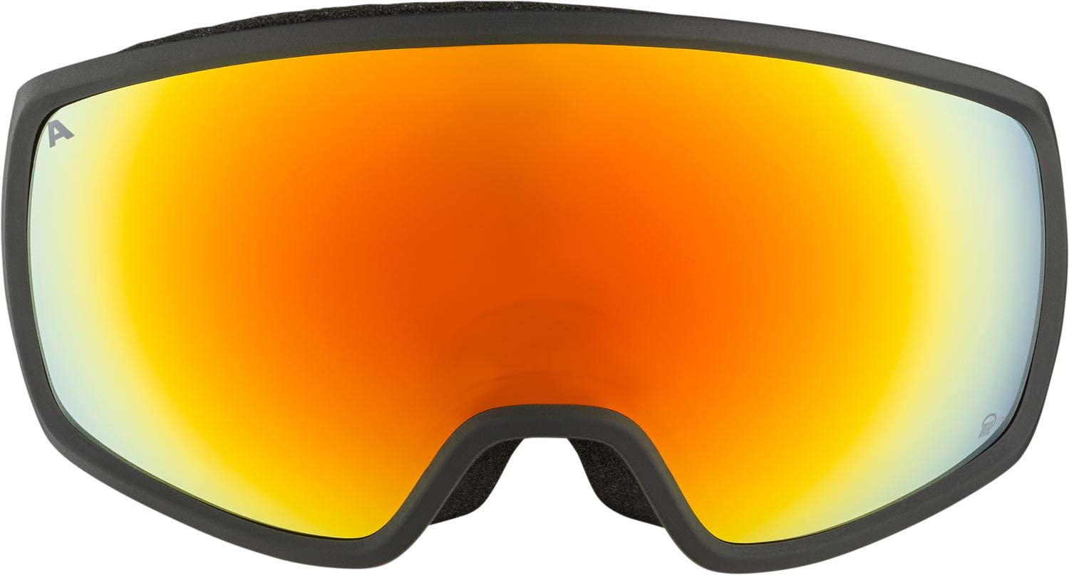 Amazon | [アルピナ] スキースノーボードゴーグル ユニセックス