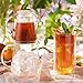 Tea Forte Tea Over Ice Steeping Pitcher + Ceylon Gold 5 Count Individually Wrapped Handcrafted Pyramid Infuser Iced Tea Bags, Each Steeps 24 oz.