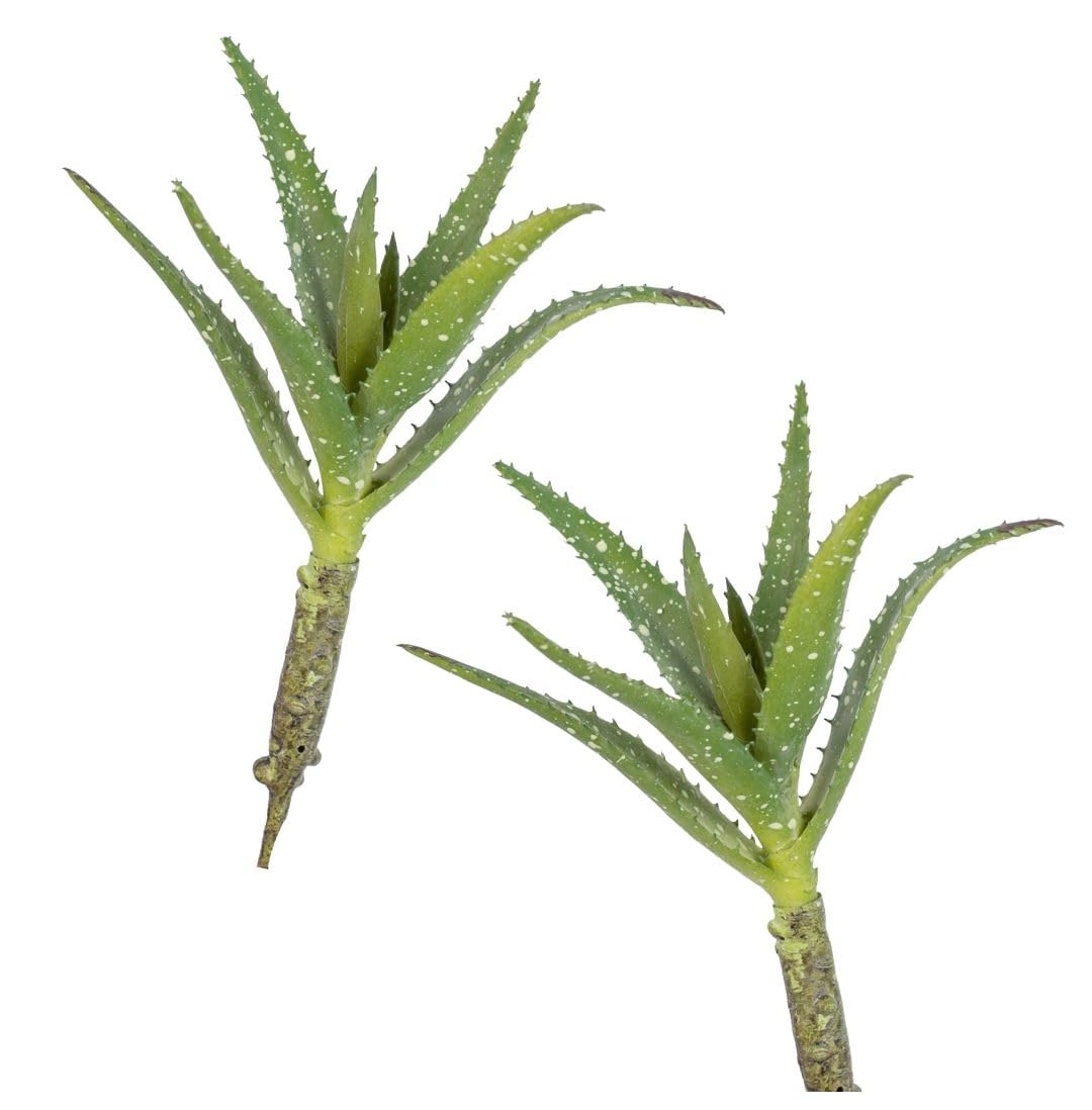 Amazon.com: Factory Direct Craft Artificial Aloe Vera Succulent Stems Set  of 2 - Fake Greenery for Arrangements and Displays (8-1/2 Inches High) :  Home & Kitchen
