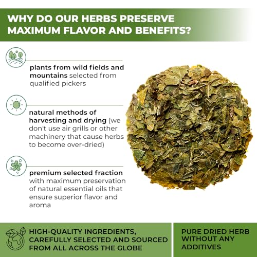 Image of 4 oz. White Mulberry Tea Mulberry Leaf Herbal Tea (Morus Alba) - 113g Herb Hoja De Morera