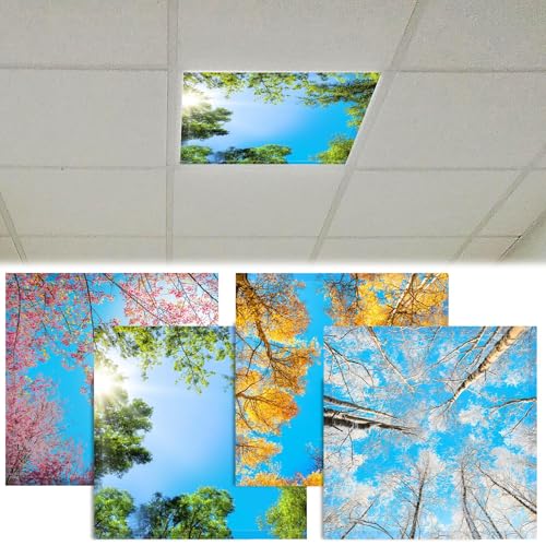 Lot de 4 couvertures magnétiques fluorescentes de 6,1 x 6,1 m pour plafonnier de salle de classe, réduction des reflets agressifs, filtres LED pour bureau,...