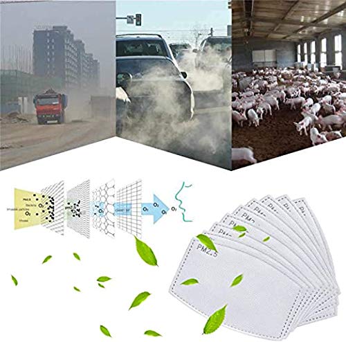 10 Pcs Adults Size PM 2.5 Filters Activated Carbon Filter Replaceable Anti Haze Filter Paper for Children and Adults【5 Layers】-【USA in Stock】 (10 Pcs Adults Filter)