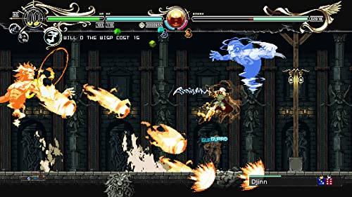 Record of Lodoss War Deedlit in Wonder Labyrinth (PS4)