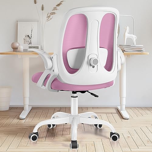 Razzor Silla De Oficina, Silla De Escritorio Ergonómica Con Soporte Lumbar Ajustable, Silla Ordenador De Malla Transpirable Con Reposabrazos Abatibles, Giratoria, Altura Ajustable Razzor Silla De Oficina, Silla De Escritorio Ergonómica Con Soporte Lumbar Ajustable, Silla Ordenador De Malla Transpirable Con Reposabrazos Abatibles, Giratoria, Altura Ajustable