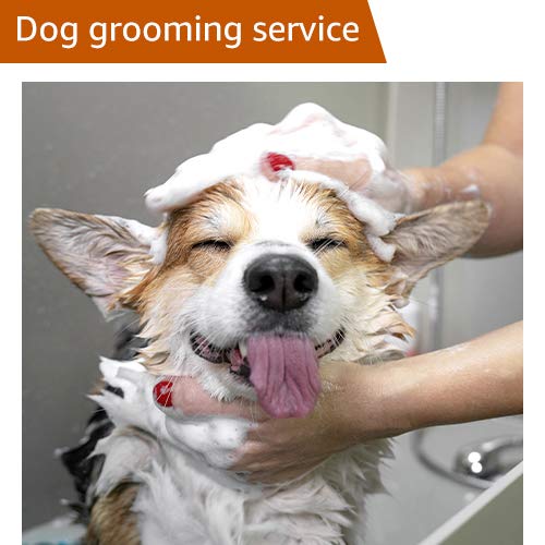Dog Grooming