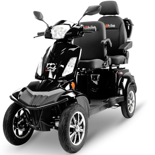 BILI BIKE SHINO QUADRO DOPPIO LIT Elektrisches Vierrad 25 km/h, 2 Sitze, 1000W, Reichweite bis 60 km, Komfortabel und Stabil