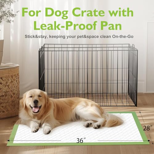 Image of Dog Pee Pads Extra Large 36 inch x 28 inch , 40 Count Puppy Pads, Doggy Pads｜Disposable Training Pads, Super Absorbent & Leak-Proof & Quick Drying Potty Pads