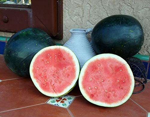 Black Diamond Watermelon Seeds | 50 Seeds | A Summer Favorite | Fruit Seeds For Planting #TOP1