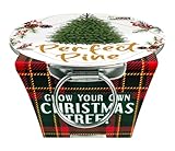 Unique Gardener Grow Your Own Christmas Tree Plant Seeds 3-Pack, DIY Indoor Succulents and Live Plants for Home or Garden Planting, Perfect Pine
