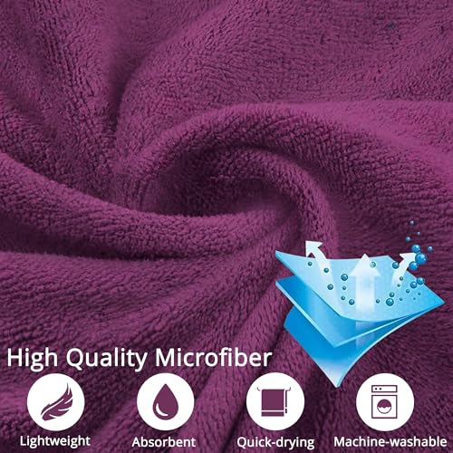 Image of CARZZO Microfiber Car Cleaning Cloth 400GSM - Pack of 2 (60x40cm) Super Absorbent Lint-Free Towels for Car Bike Cleaning