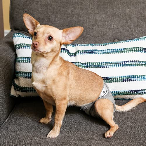 Pet Parents Premium Washable Dog Diapers & Extendrs, (3Pack) Of Female Dog Diapers & Male Dog Diapers, Color: Natural, Size: Medium Dog Diapers #TOP4