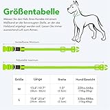 Leuchthalsband Hund, Colaseeme LED Hunde Leuchthalsband, Wasserdicht Hundehalsband Leuchtend, HundeleuchthalsbäNder Aufladbar für Pet Night Walking Safety, grün M