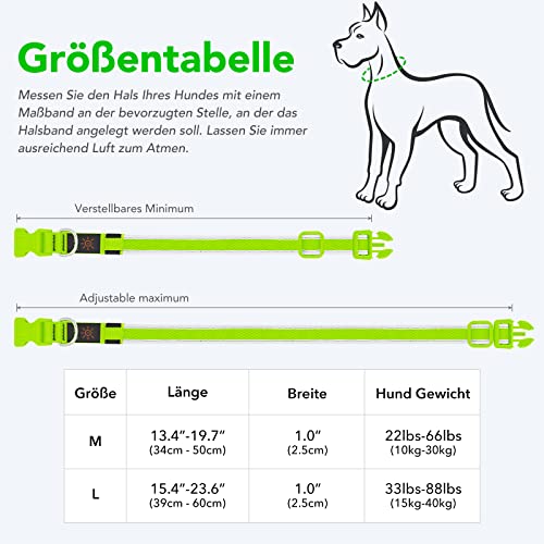 Leuchthalsband Hund, Colaseeme LED Hunde Leuchthalsband, Wasserdicht Hundehalsband Leuchtend, HundeleuchthalsbäNder Aufladbar für Pet Night Walking Safety, grün M