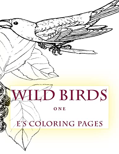 WILD BIRDS one
