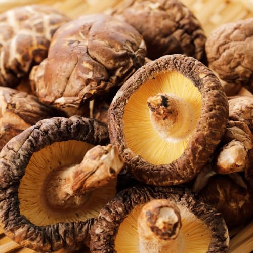 Amazon.co.jp: 椎茸 しいたけ 大分県産 原木栽培 干し椎茸 無