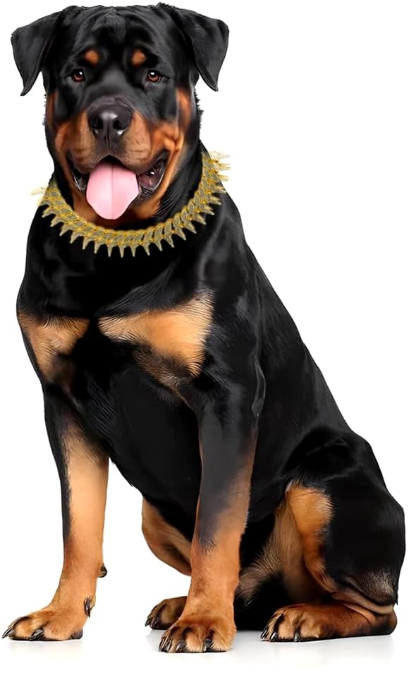 Image of Dog Chain Collar, Side Spiked Style Necklace Bling Diamond Cuban Link Dog Collars Glitter Rhinestone Puppy Collar for for Small Medium Large Pet Dogs (Gold, 12 Inch)