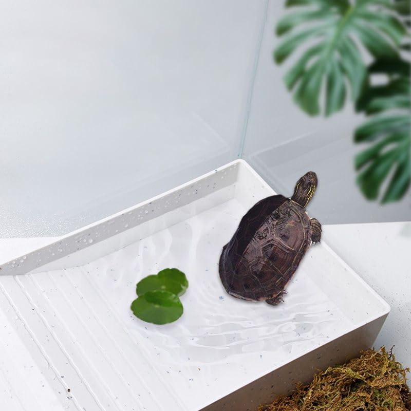 Amazon | Tloszu爬虫類の餌皿 爬虫類 水入れ スロープとバスキング