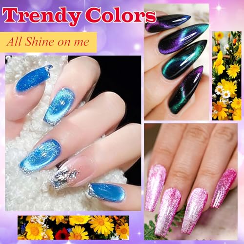 Set de Esmaltes Gel Ojo de Gato 12 Piezas miniatura 2