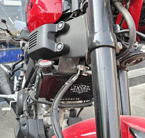 Image of L3 MODZ XSR 155 Radiator Guard - Honeycomb Design Grill Protector | High Airflow (1, silver)