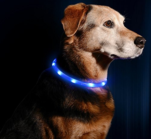 Illumiseen LED Dog Necklace Collar - USB Rechargeable Loop - Available in 6