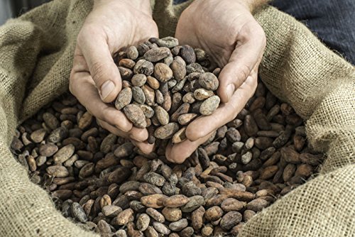 Wild Sweet Nibs, Raw Cacao Nibs Lightly Sweetened, Single-Origin Peru, Gluten-Free, NON-GMO Superfood - Baking, Smoothies, Recipes, Snacking (8 ounce)