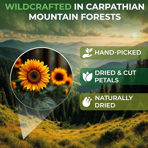 Image of 1 oz. Sunflower Petals Herbal Tea (Petala Helianthi) - 28g Dried Sunflower Petals Tea Te de Petalos de Girasol