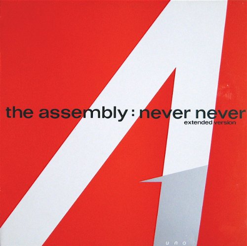 NEVER NEVER 12 INCH (12" VINYL) UK MUTE 1983