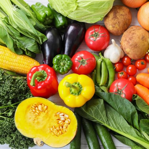 季節の野菜 詰め合わせ セット 4〜7種 旬の野菜 季節 野菜