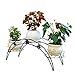 Dazone Arch Metal Potted plant Stand with 3 holders Potted Plant Rack Organizer (Black)