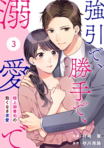 comic Berry’s強引で、勝手で、溺愛で～極上御曹司の飽くなき求愛～3巻 (Berry's COMICS)