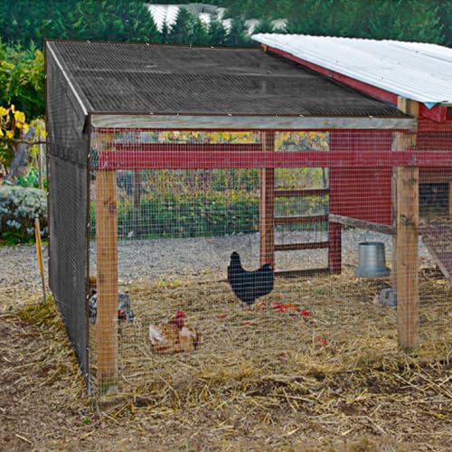 Image of winemana 40% Black Shade Cloth, 6.6 x 6.6 FT Durable Mesh Tarp with Grommets, Resistant Garden Sun Shade Netting, Shading Antifreezing for Pergola, Greenhouse, Plants Growing, Chicken Coop