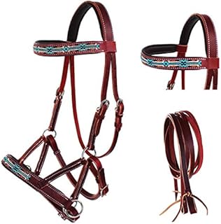 CHALLENGER English Western Horse Leather Bitless Bridle Sidepull Halter Reins 77RS10MG-F