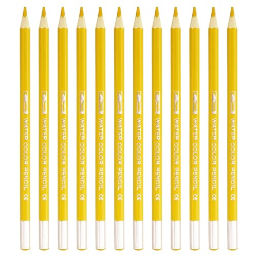 PATIKIL ���ʉ��M 12�{ ���n�����M �u�����h�A���F�A�X�P�b�`�`��A�G��A�_�[�N�C�G���[