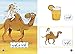 Words and Sounds Big Book: Level 2 (KG) (Collins Big Cat Arabic)