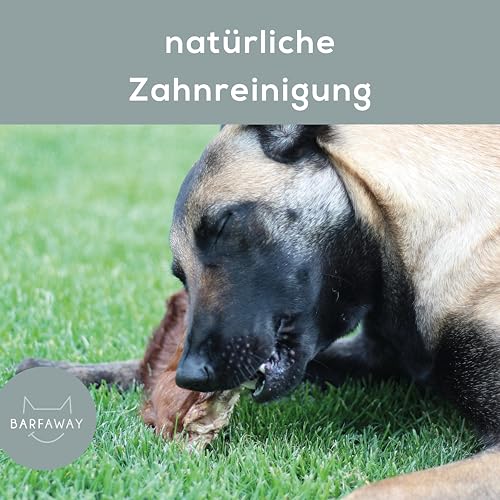 BARFAWAY Ochsenziemer, gefriergetrockneter Langer Kausnack für Hunde, 100% natürlich ohne Zusätze, Deutsche Herstellung, geruchsneutral, 300 g