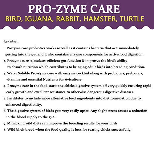 Image of Pet Care International (PCI) Pro-Zyme Care || Probiotics with Digestive Enzymes for Healthy Digestive System || Designed for Reptiles, Hamster, Marmoset, Iguana, Geko, Dwarf, Gerbil || 100grm