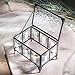 Decorative Glass Keepsake Box for Jewelry Trinkets and Special Gifts J Devlin Box 762