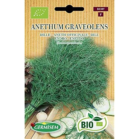 Germisem Organic Dill Seeds for Spicy Plant Cover
