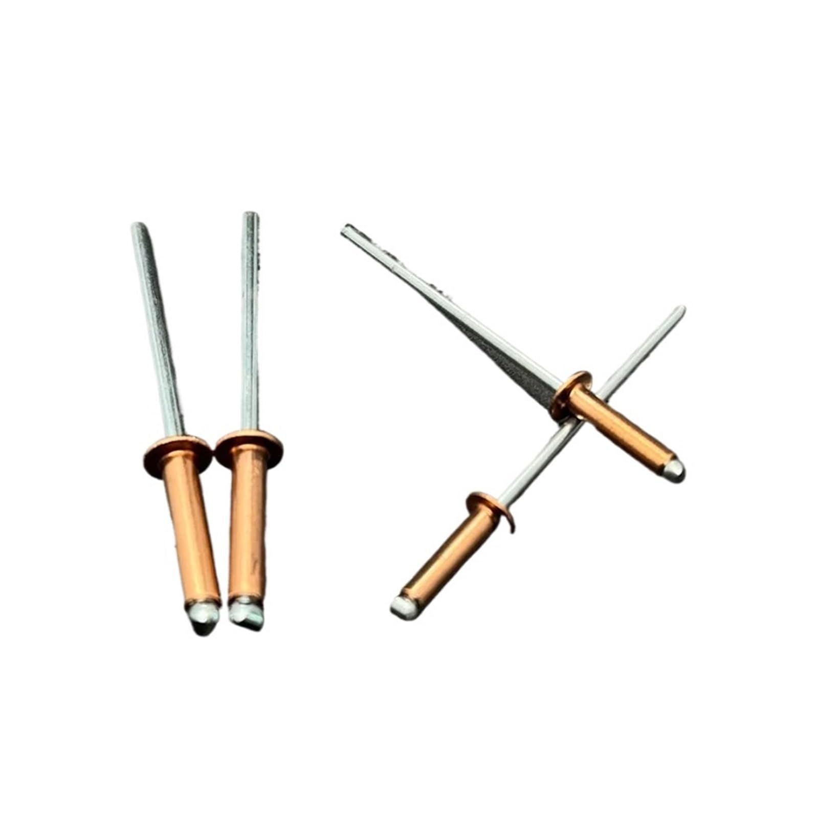 Blindniet 30/50 Stück Kupferblindnieten, offener Typ mit Kuppelkopf, korrosionsbeständige Bronze-Messingnieten(50Pcs,4.8x20 mm)