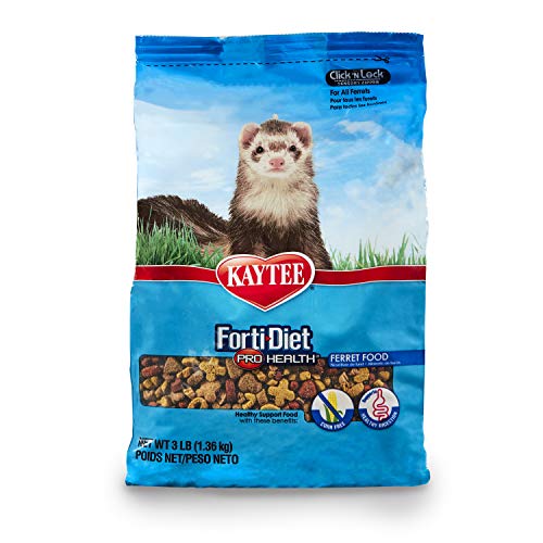 Best Food For Ferrets