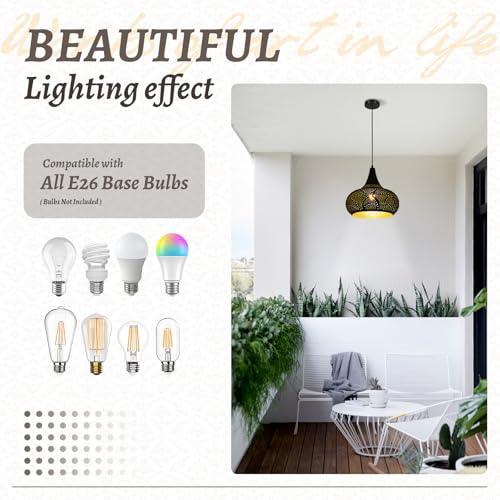 Image of Black Pendant Light Fixture Vintage Hanging Lamp Hollow Chandelier