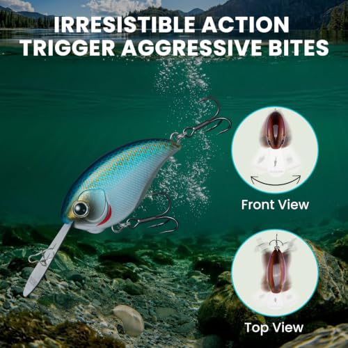 Image of TRUSCEND Easy Catch Crankbait with BKK Hooks, Shallow or Deep Diving Crank Bait Fishing Lures for Bass Pike Walleye, Unipue Wobble Design for More Bites, Vibe Lipless Crankbaits Freshwater Saltwater