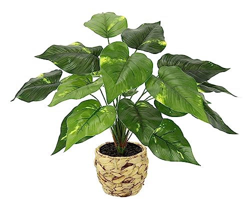 Planta Artificial de pothos en Cesta, Planta de pothos, Hiedra Dorada, Planta de Interior, Arte Decorativo, Flor de Seda, Real, Verde, Planta Artificial, Planta de Hojas, Planta Decorativa, Planta