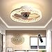 Ventilatore da Soffitto con Lampada – 30W Lampadario Ventilatore Ø50 cm 5 Pale con Telecomando, Super Silenzioso, 3 Temperatura di Colore e 6 Velocità del Vento, Timer e Funzione Inversione