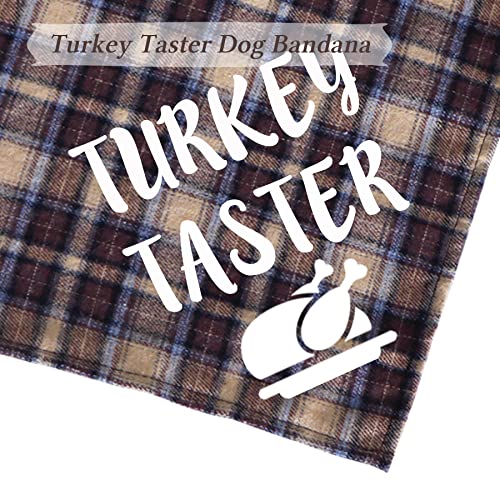 Bandanas para Perro Thanksgiving, 2 Unidades miniatura 3