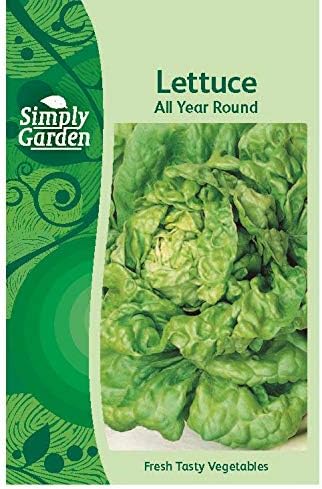 Simply Garden Courgette Black Beauty Vegetable Seeds Grow Your Own Garden