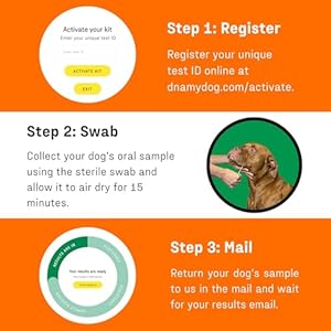 Dna My Dog Premium Test β Premium Breed ID Over 300 Breeds Plus Genetic Age Test, Wolf/Coyote DNA and Mixed Breed Identification, Non-Invasive Cheek Swab for Puppies to Adult Dogs Dna My Dog Premium TestβPremium Breed ID Over 300 Breeds Plus Genetic Age Test WolfCoyote DNA and Mixed Breed Identification Non Invasive Cheek Swab for Puppies to Adult Dogs