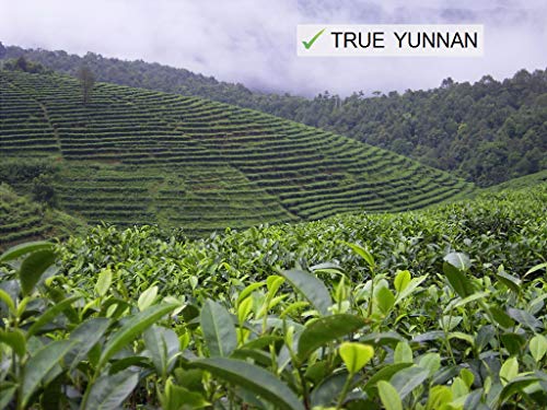 Jinglong Tea Factory AAM/165 Pu-Erh Tea In Bamboo Leaf Tube thumb #5